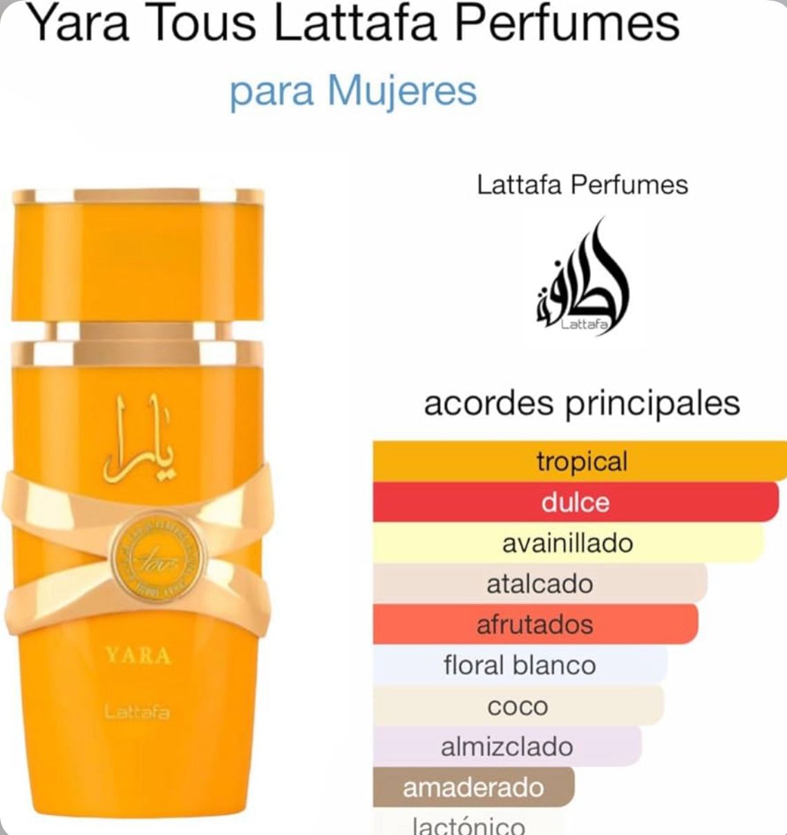 yara Tous
